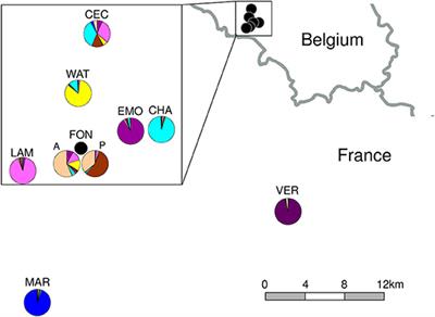 Assessing Population Genetic Status for Designing Plant Translocations